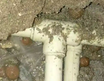 龙湖测漏水多少钱