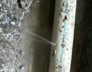 龙湖测漏水哪家好