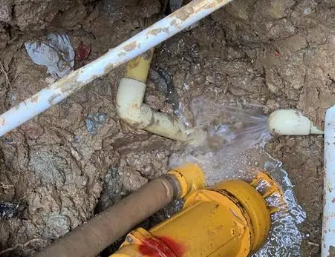 龙湖水管漏水检测哪家好